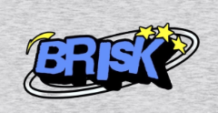 Brisk Logo Hoodie