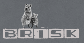 Quokka hoodie Grey