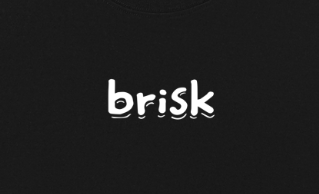 OG Brisk Tee